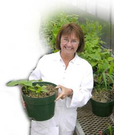 Linda Hall