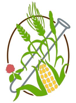 CSA